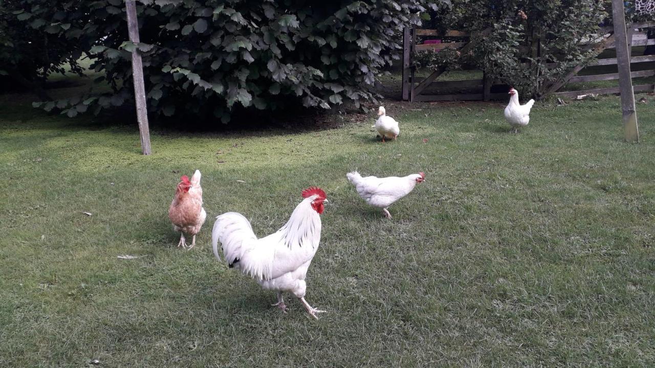 Western House B&B Kurow Bagian luar foto