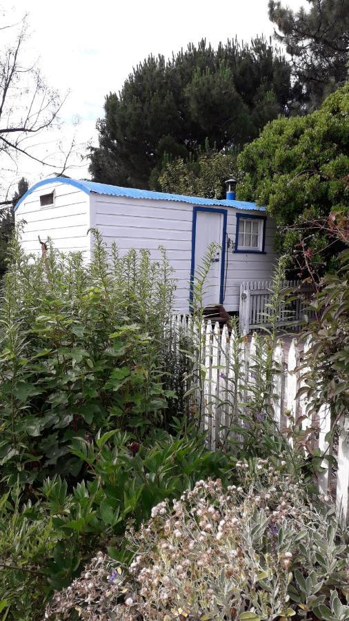 Western House B&B Kurow Bagian luar foto